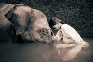 Gregory Colbert2