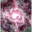 Starea de recunostinta iti creste vibratia energetica